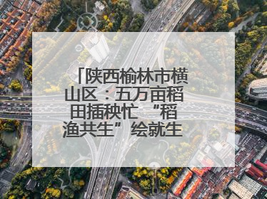 陕西榆林市横山区：五万亩稻田插秧忙 “稻渔共生”绘就生态富民新画卷