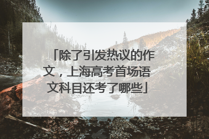 除了引发热议的作文，上海高考首场语文科目还考了哪些