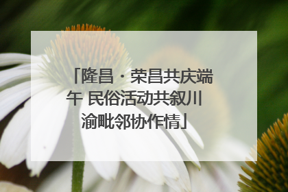 隆昌・荣昌共庆端午 民俗活动共叙川渝毗邻协作情