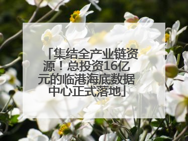 集结全产业链资源！总投资16亿元的临港海底数据中心正式落地