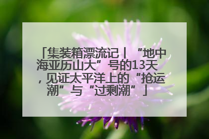 集装箱漂流记丨“地中海亚历山大”号的13天，见证太平洋上的“抢运潮”与“过剩潮”