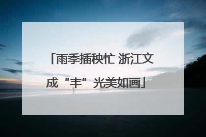雨季插秧忙 浙江文成“丰”光美如画
