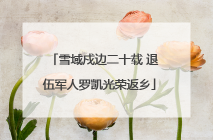 雪域戍边二十载 退伍军人罗凯光荣返乡