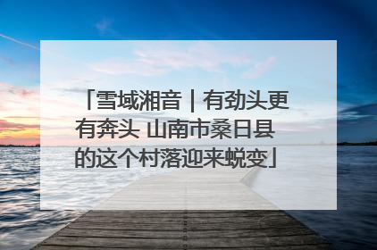雪域湘音｜有劲头更有奔头 山南市桑日县的这个村落迎来蜕变