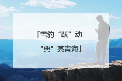 雪豹“跃”动 “典”亮青海
