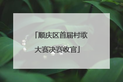 顺庆区首届村歌大赛决赛收官