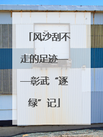 风沙刮不走的足迹——彰武“逐绿”记