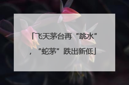 飞天茅台再“跳水”，“蛇茅”跌出新低