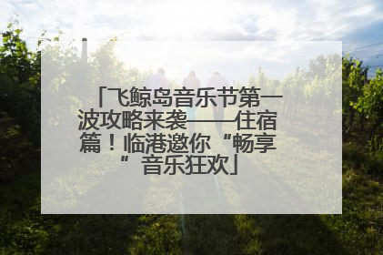 飞鲸岛音乐节第一波攻略来袭——住宿篇！临港邀你“畅享”音乐狂欢