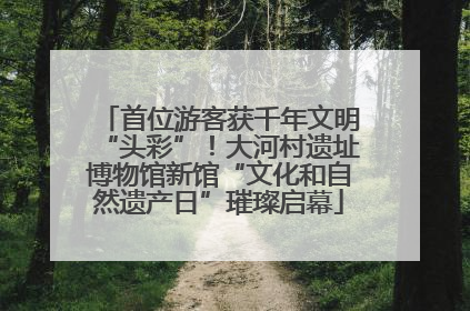 首位游客获千年文明“头彩”！大河村遗址博物馆新馆“文化和自然遗产日”璀璨启幕
