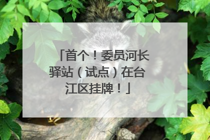首个！委员河长驿站（试点）在台江区挂牌！