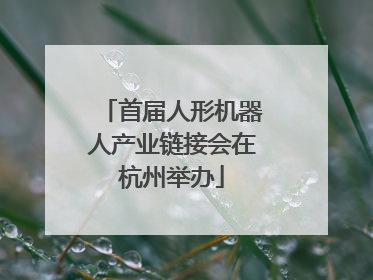 首届人形机器人产业链接会在杭州举办