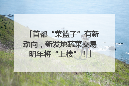 首都“菜篮子”有新动向，新发地蔬菜交易明年将“上楼”！