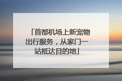 首都机场上新宠物出行服务，从家门一站抵达目的地