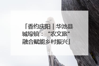 香约庆阳｜华池县城壕镇：“农文旅”融合赋能乡村振兴