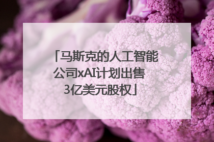 马斯克的人工智能公司xAI计划出售3亿美元股权