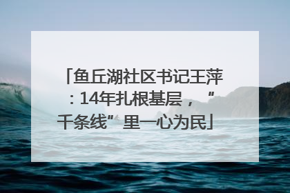 鱼丘湖社区书记王萍：14年扎根基层，“千条线”里一心为民