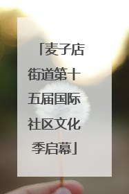 麦子店街道第十五届国际社区文化季启幕