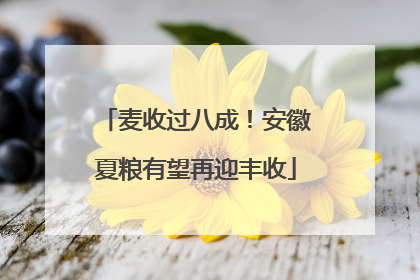 麦收过八成！安徽夏粮有望再迎丰收