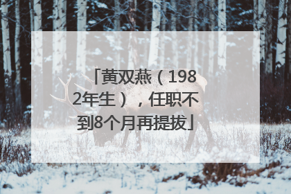 黄双燕（1982年生），任职不到8个月再提拔