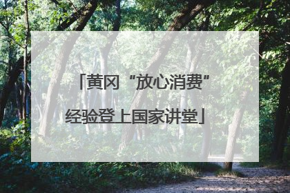 黄冈“放心消费”经验登上国家讲堂