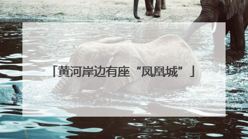 黄河岸边有座“凤凰城”