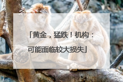 黄金，猛跌！机构：可能面临较大损失