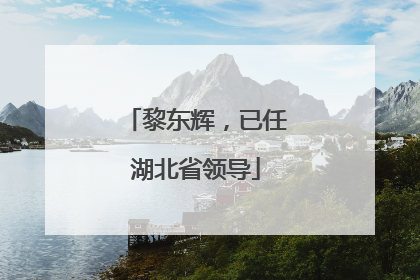 黎东辉，已任湖北省领导
