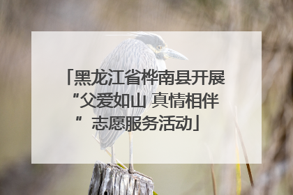 黑龙江省桦南县开展“父爱如山 真情相伴”志愿服务活动