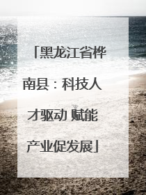 黑龙江省桦南县：科技人才驱动 赋能产业促发展