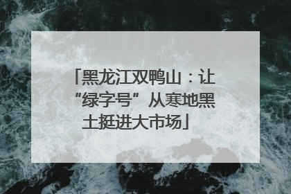 黑龙江双鸭山：让“绿字号”从寒地黑土挺进大市场