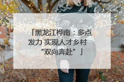 黑龙江桦南：多点发力 实现人才乡村“双向奔赴”