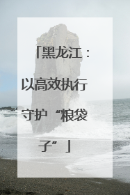 黑龙江：以高效执行守护“粮袋子”