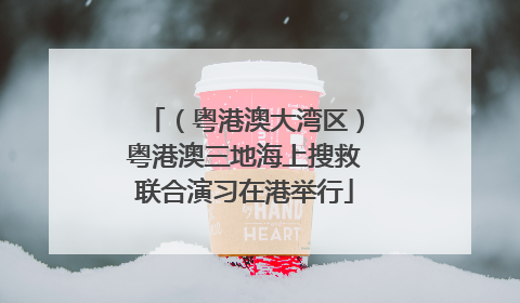 （粤港澳大湾区）粤港澳三地海上搜救联合演习在港举行