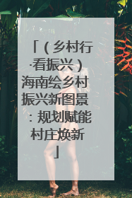 （乡村行·看振兴）海南绘乡村振兴新图景：规划赋能 村庄焕新