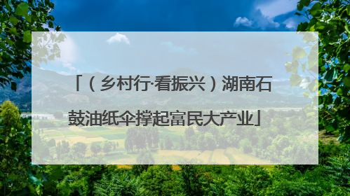 （乡村行·看振兴）湖南石鼓油纸伞撑起富民大产业