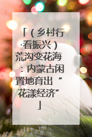 （乡村行·看振兴）荒沟变花海：内蒙古闲置地育出“花漾经济”