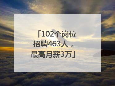 102个岗位招聘463人，最高月薪3万