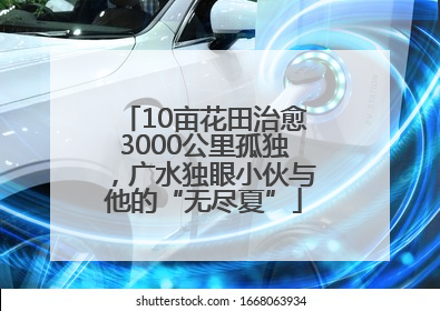 10亩花田治愈3000公里孤独，广水独眼小伙与他的“无尽夏”