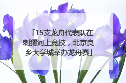 15支龙舟代表队在刺猬河上竞技，北京良乡大学城举办龙舟赛
