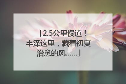 2.5公里慢道！丰泽这里，藏着初夏治愈的风……