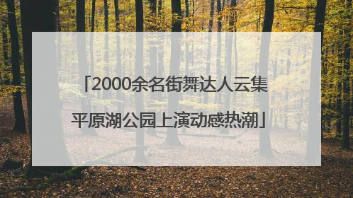 2000余名街舞达人云集 平原湖公园上演动感热潮