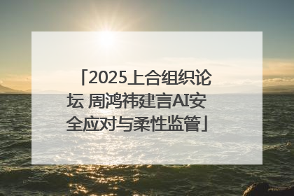 2025上合组织论坛 周鸿祎建言AI安全应对与柔性监管
