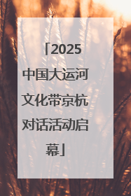 2025中国大运河文化带京杭对话活动启幕