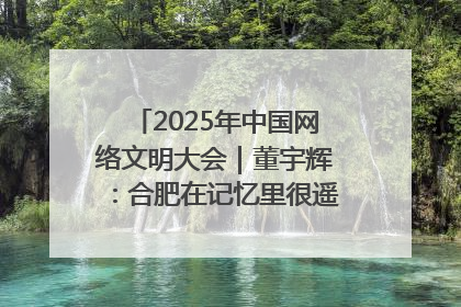 2025年中国网络文明大会｜董宇辉：合肥在记忆里很遥远也很亲切