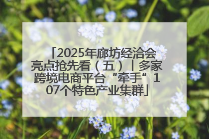 2025年廊坊经洽会亮点抢先看（五）丨多家跨境电商平台“牵手”107个特色产业集群