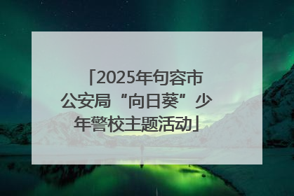 2025年句容市公安局“向日葵”少年警校主题活动
