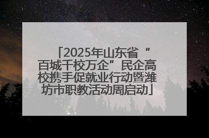 2025年山东省“百城千校万企”民企高校携手促就业行动暨潍坊市职教活动周启动