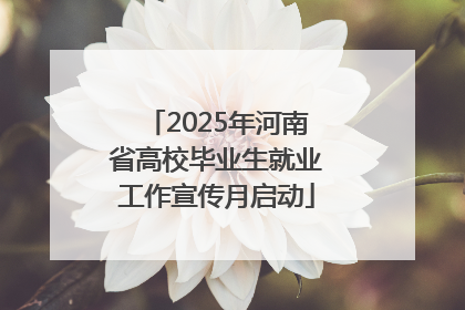 2025年河南省高校毕业生就业工作宣传月启动