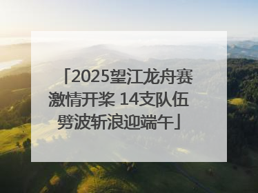 2025望江龙舟赛激情开桨 14支队伍劈波斩浪迎端午